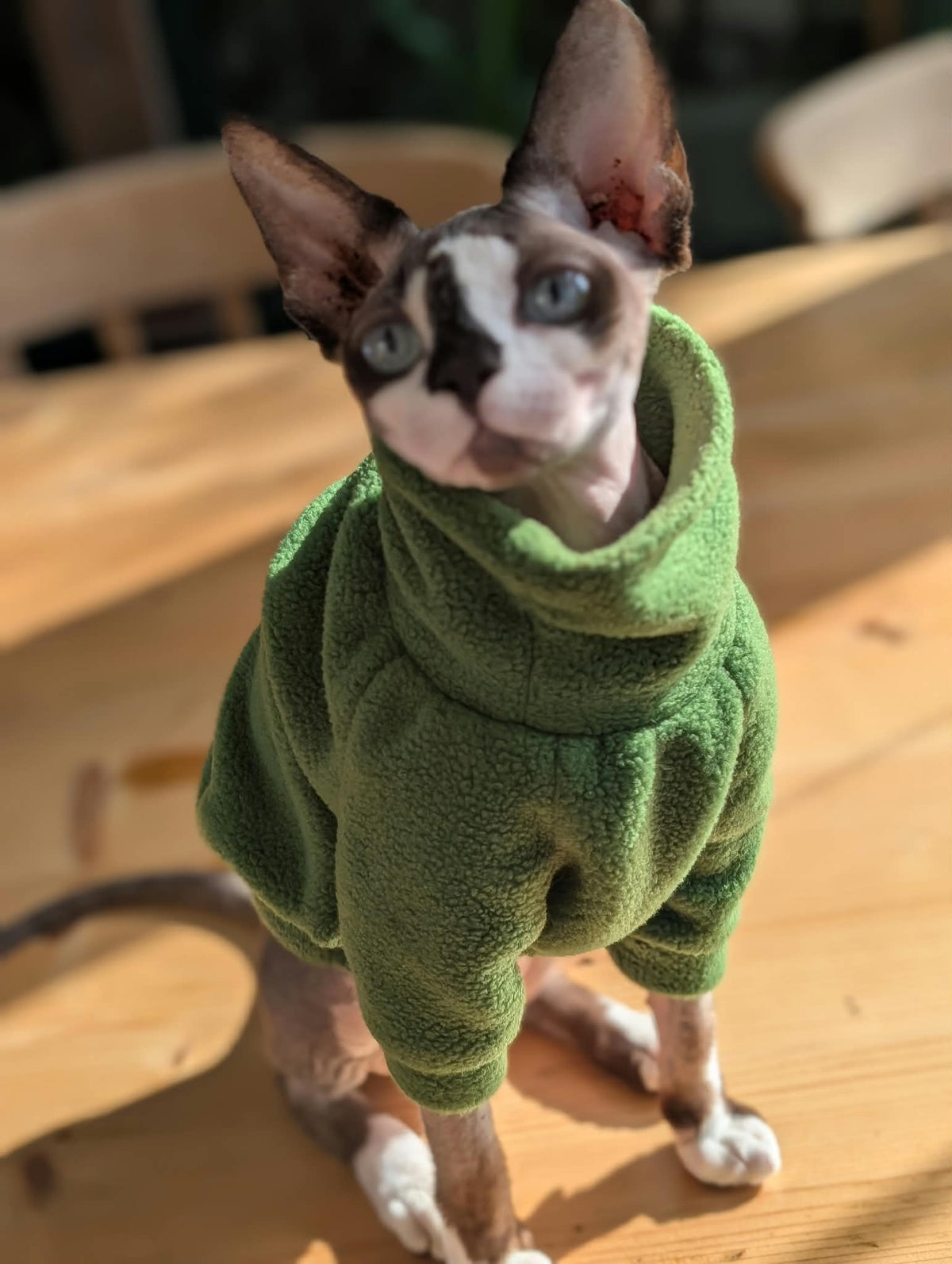 Plain fleece long sleeve cat jumper