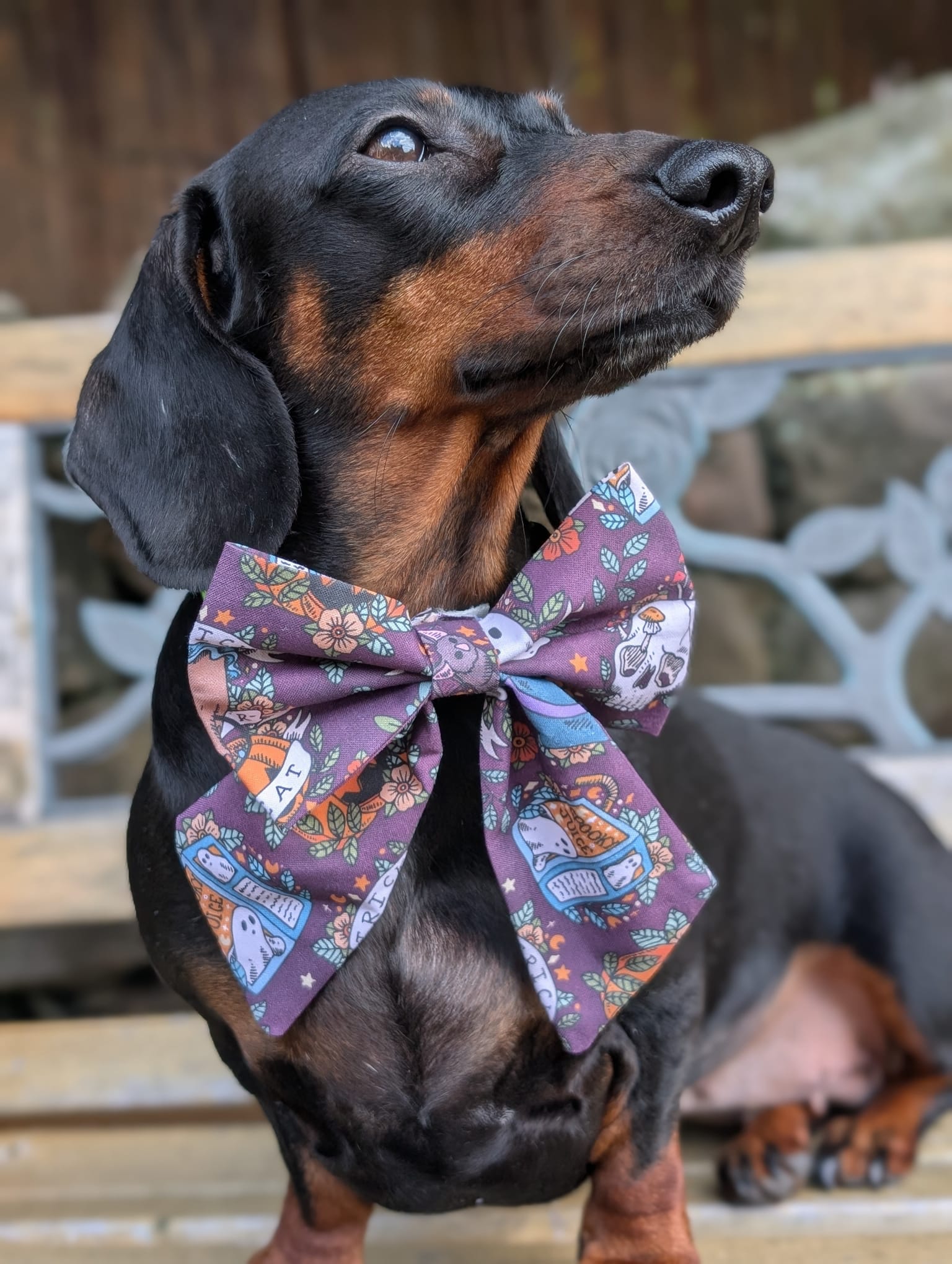 Halloween cotton accessories