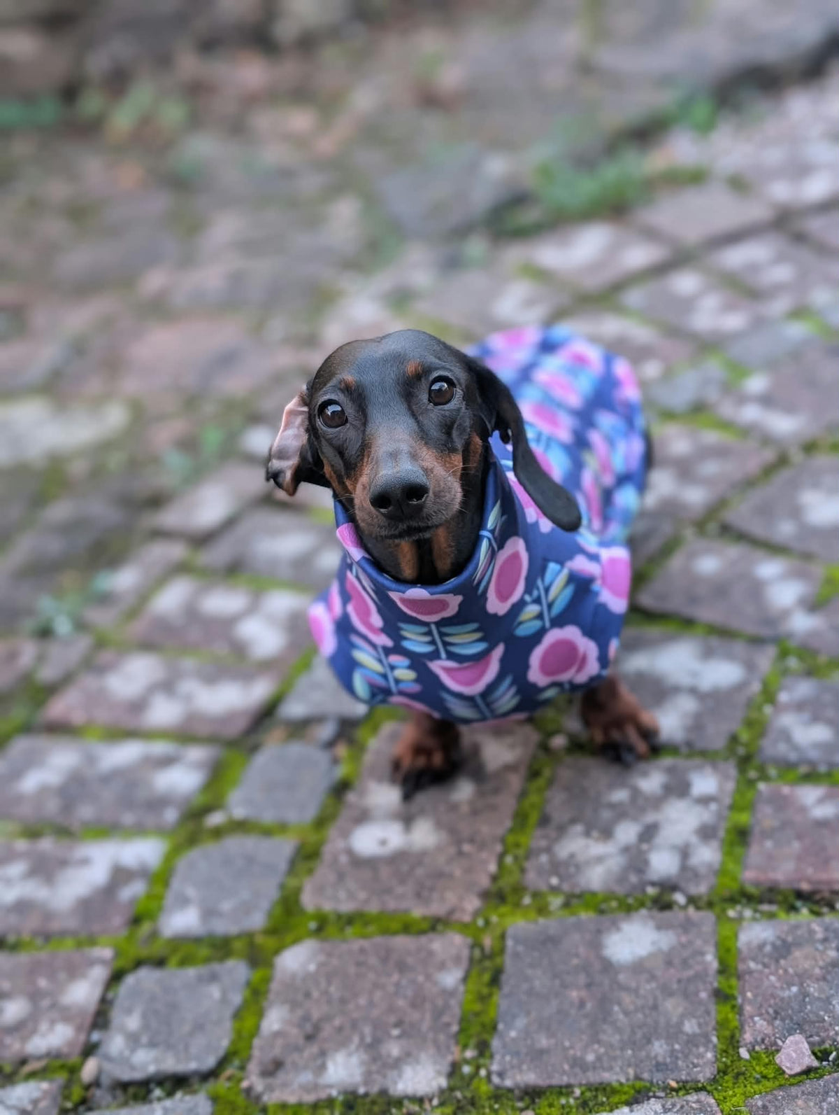 Retro eco fleece collection