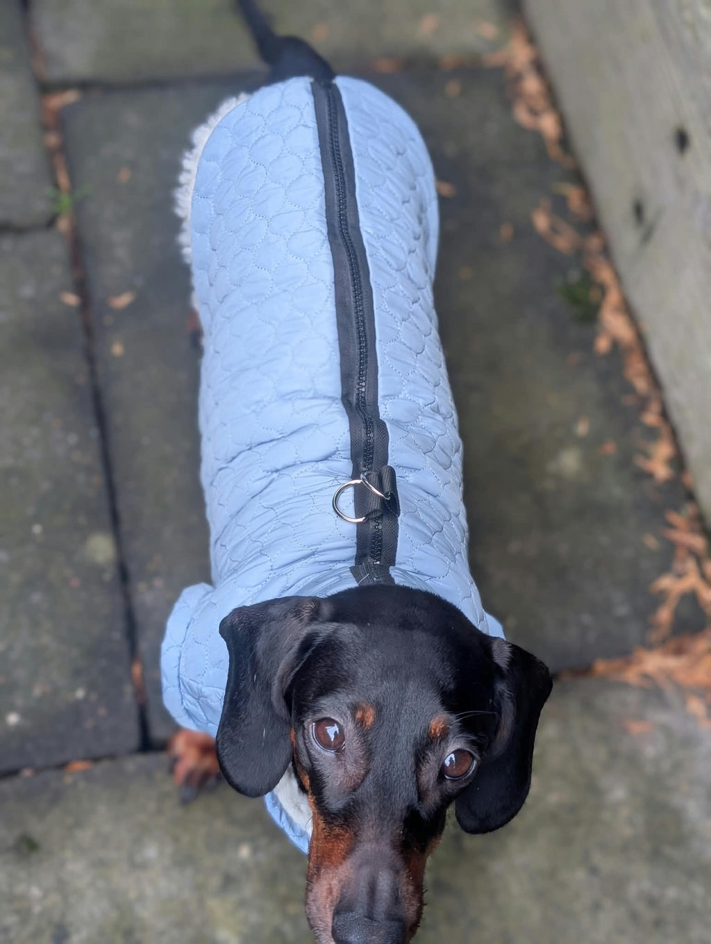 Sherpa lined quilted coat