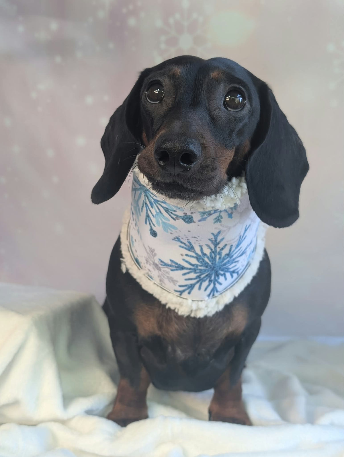 Sherpa lined Christmas snoods