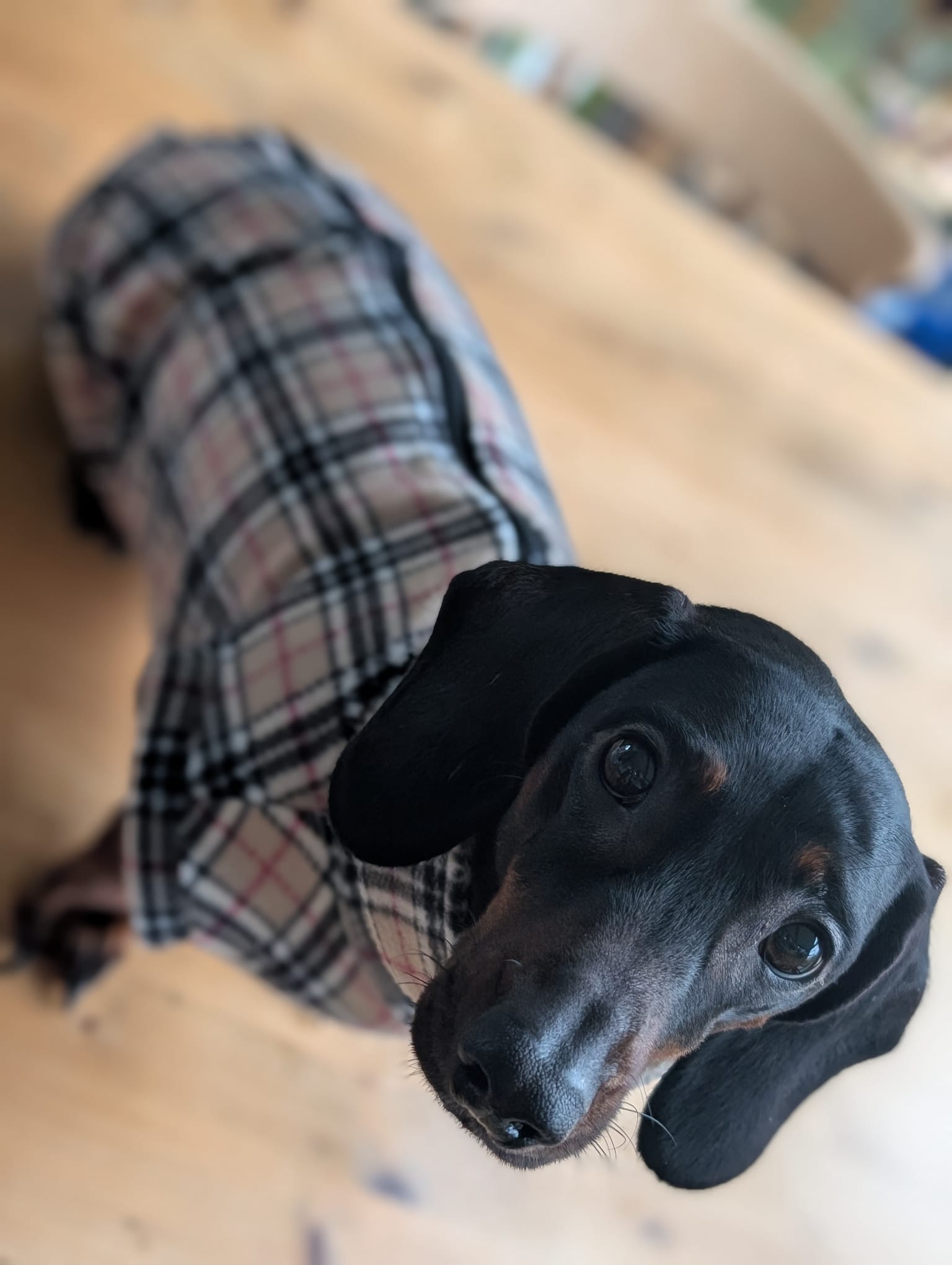 Pattern fleece back zip jumper
