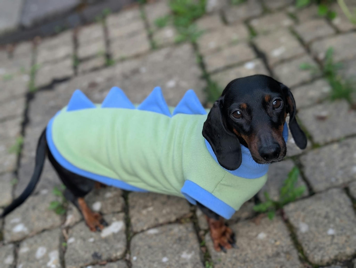 Dino fleece
