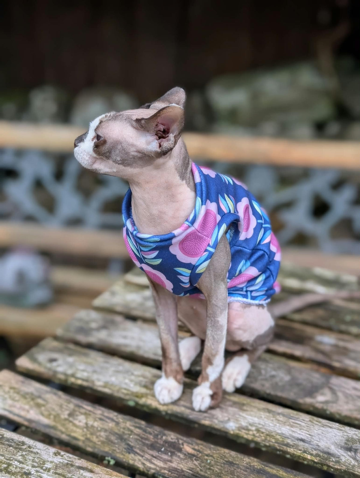 Retro cat eco fleece