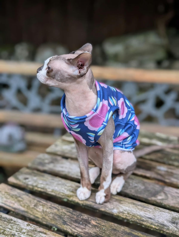 Retro cat eco fleece