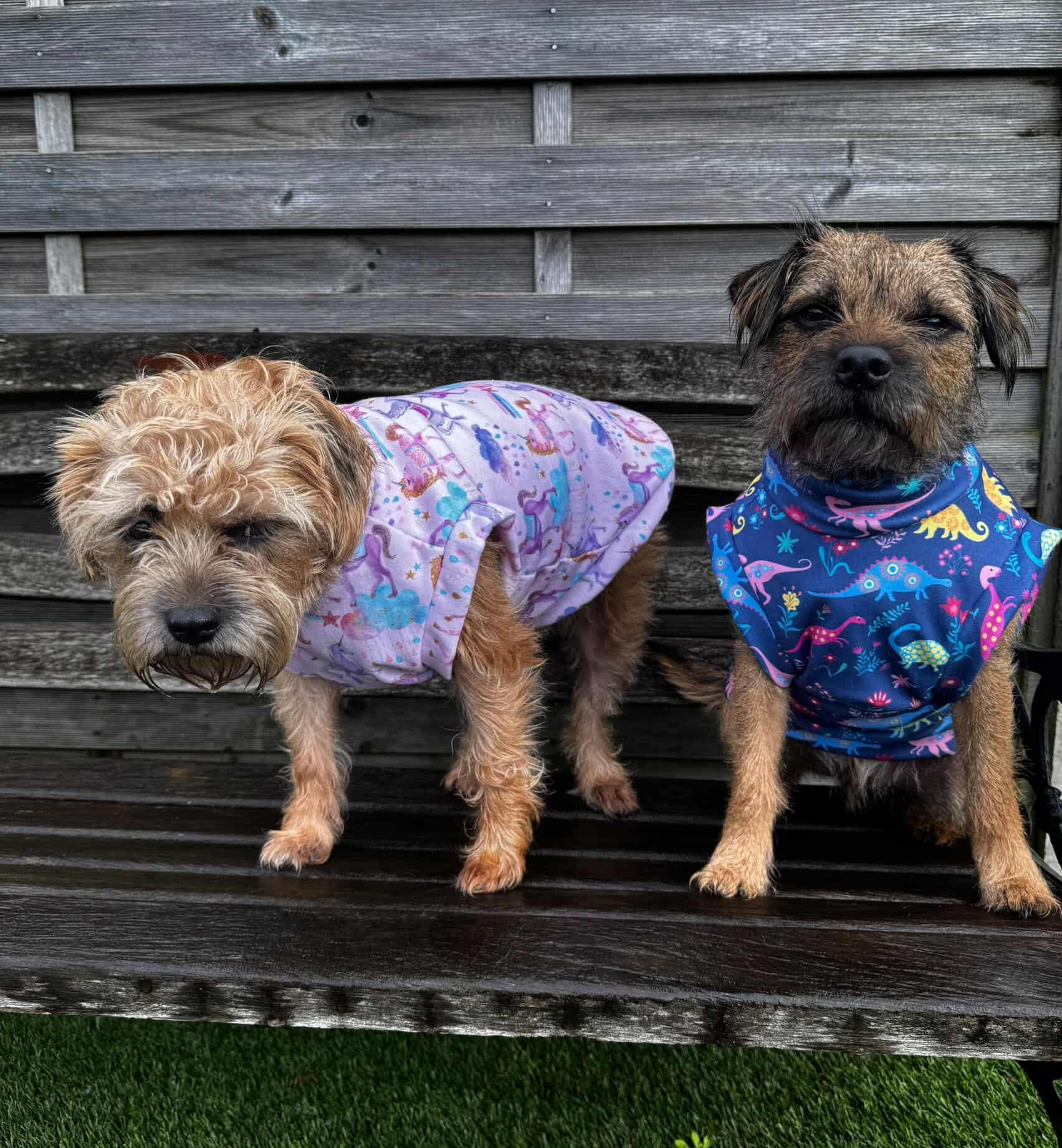 Eco fleece dinosaurs and unicorns jumpers