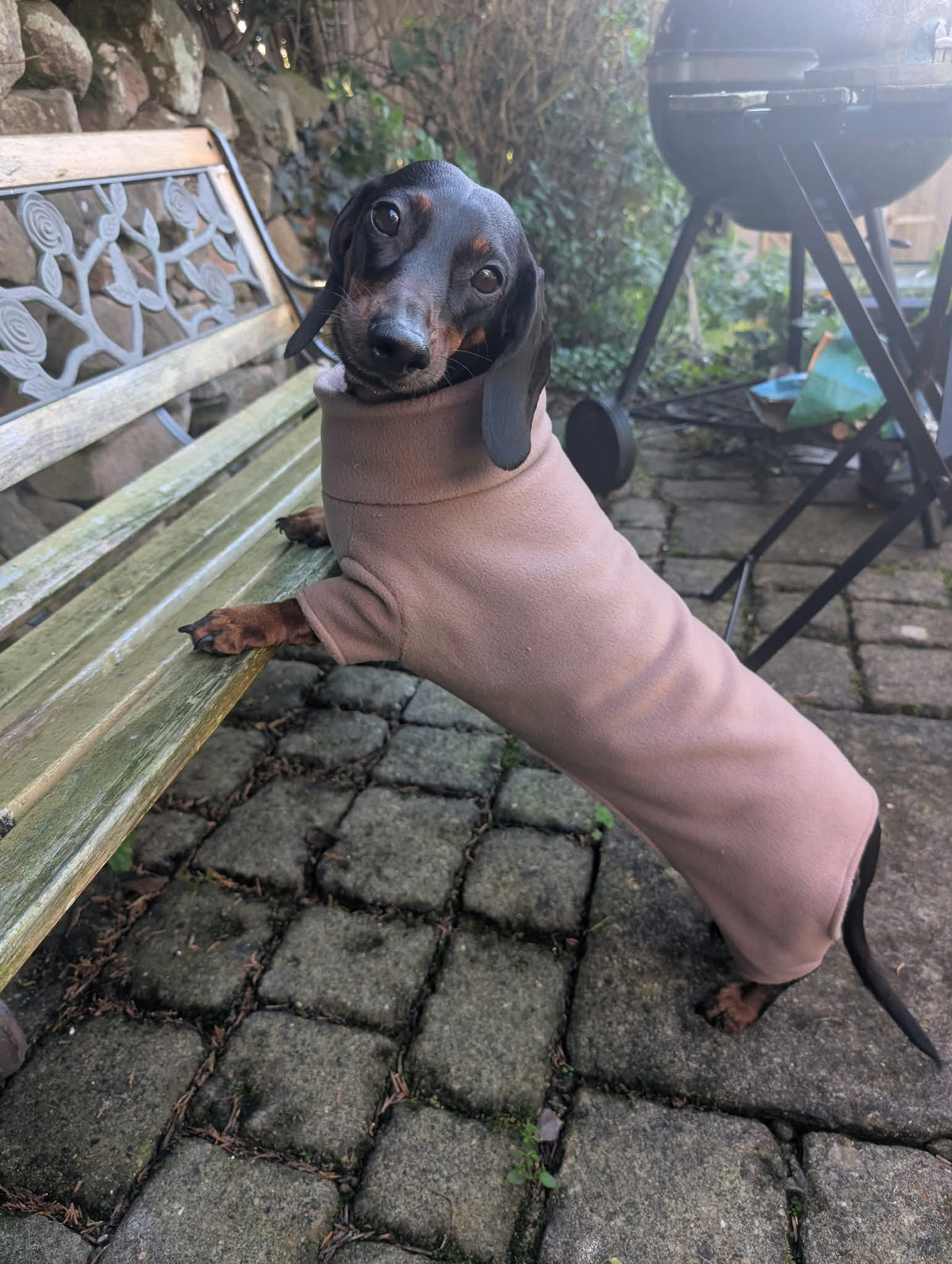 Dachshund fleece onesie