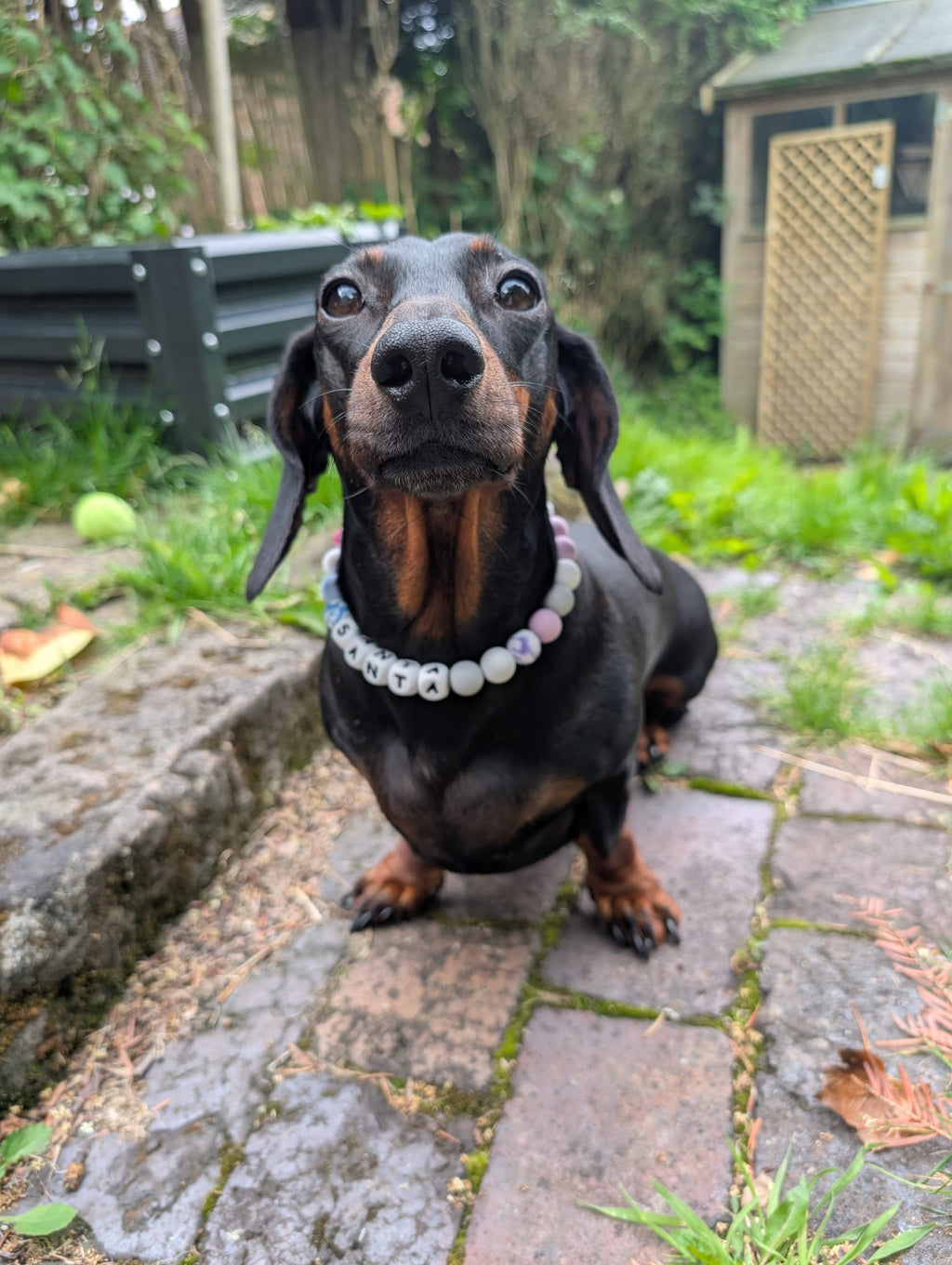 Beaded collars