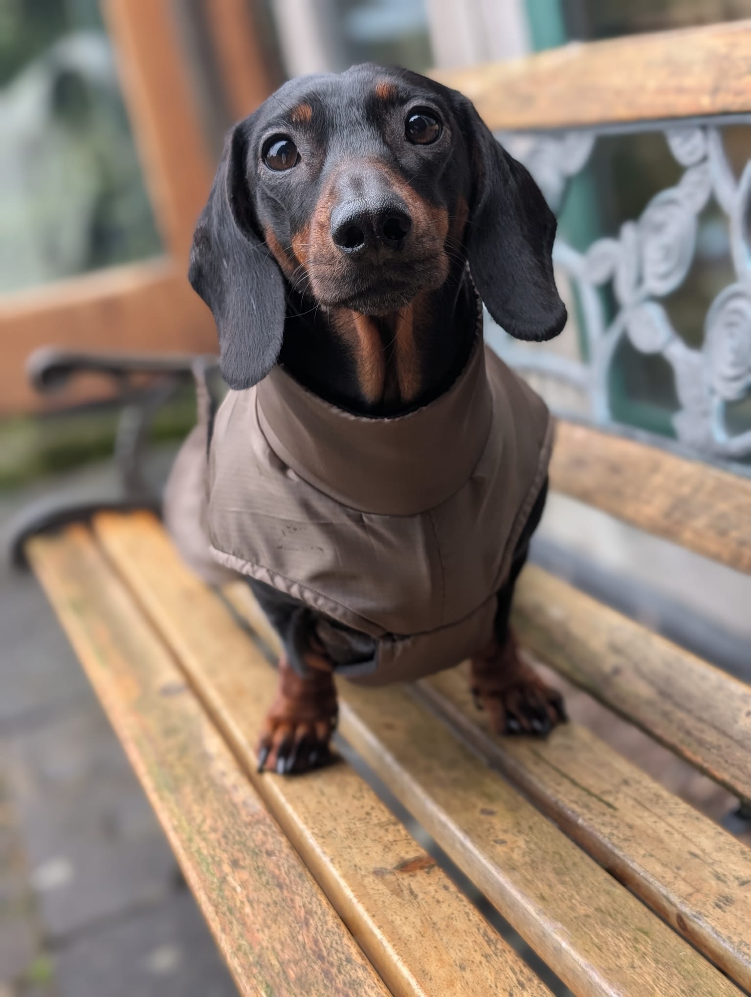 Lightweight raincoat