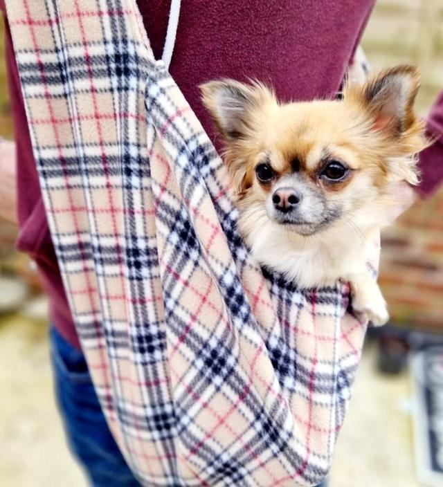 Pattern fleece pet sling