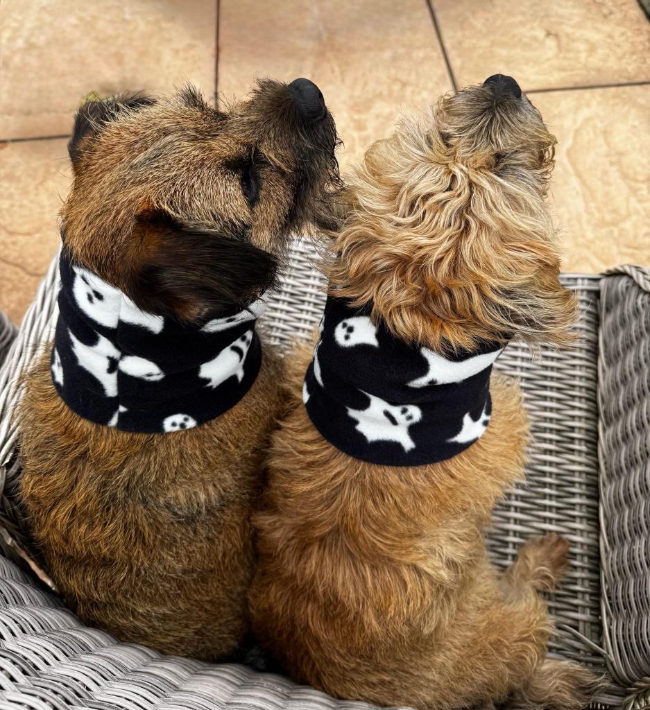 Pattern fleece snood