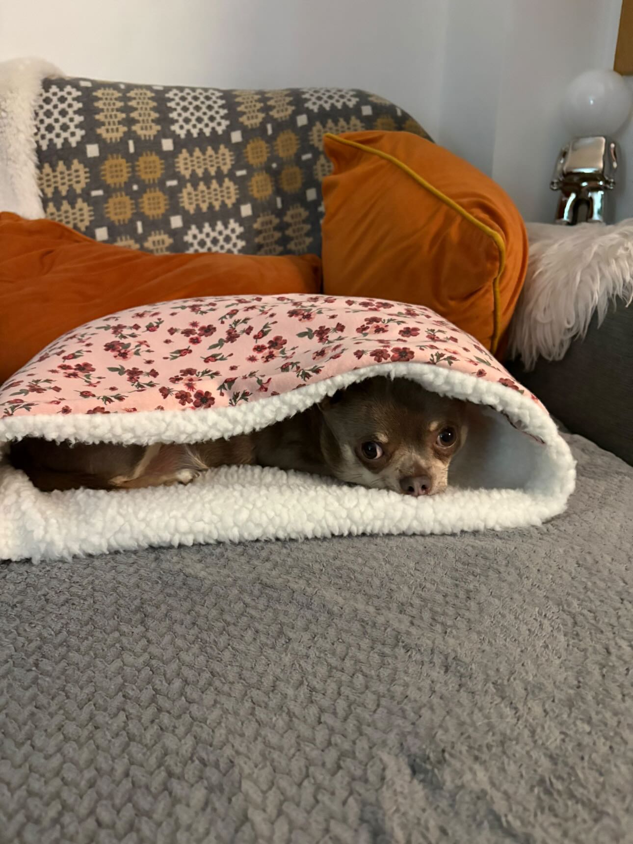 Sherpa lined snuggle sack