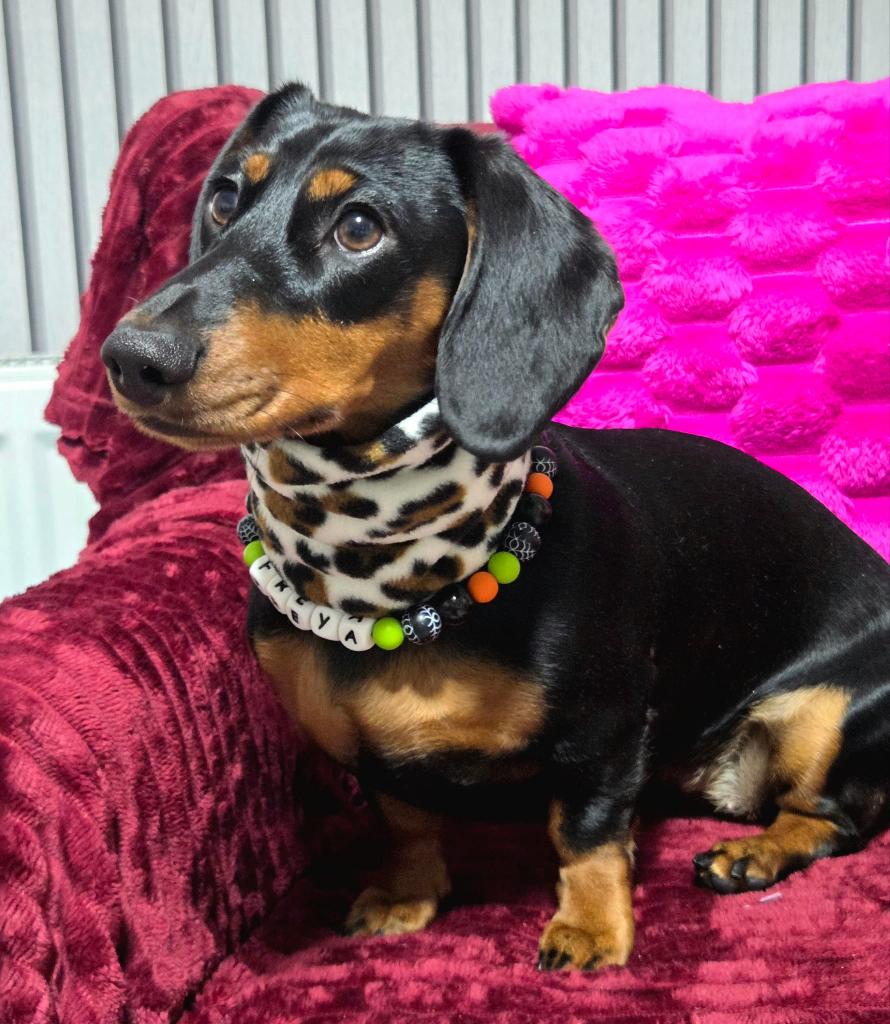 Pattern fleece snood