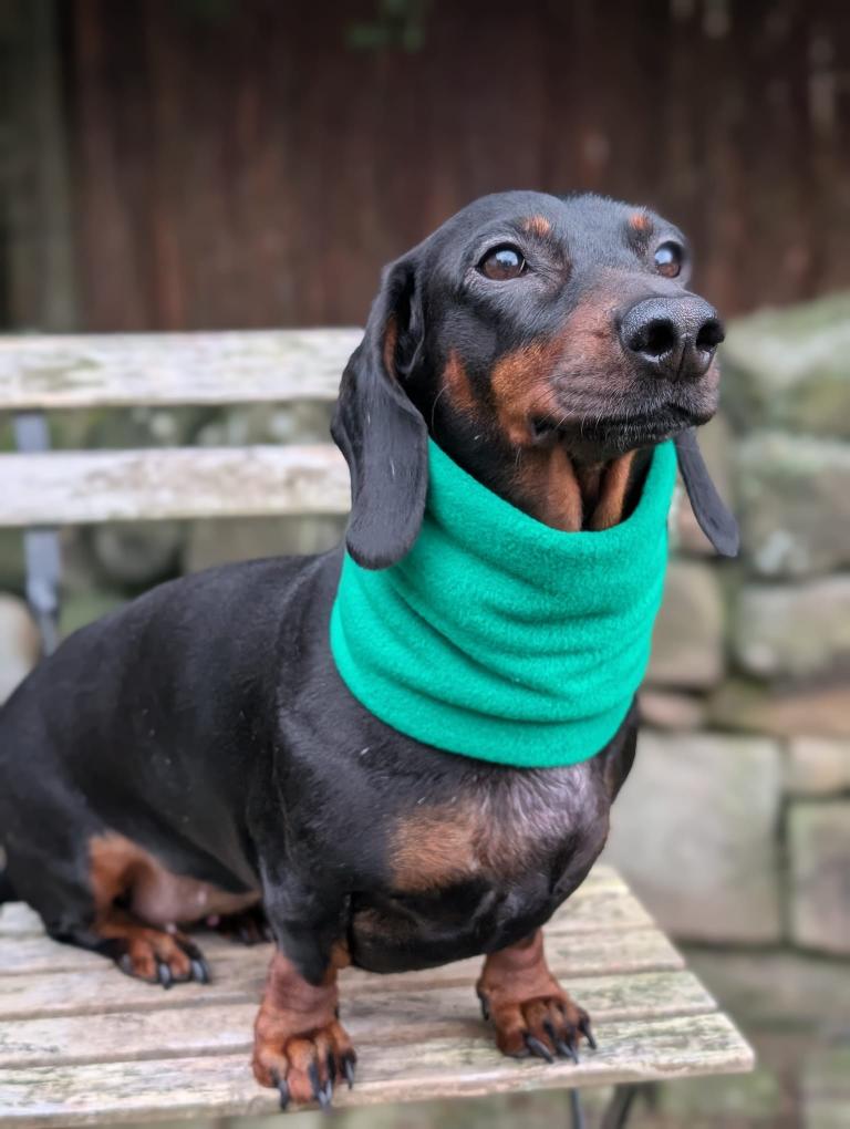 Plain colors fleece snood