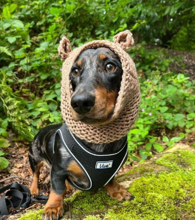 Knitted teddy snood