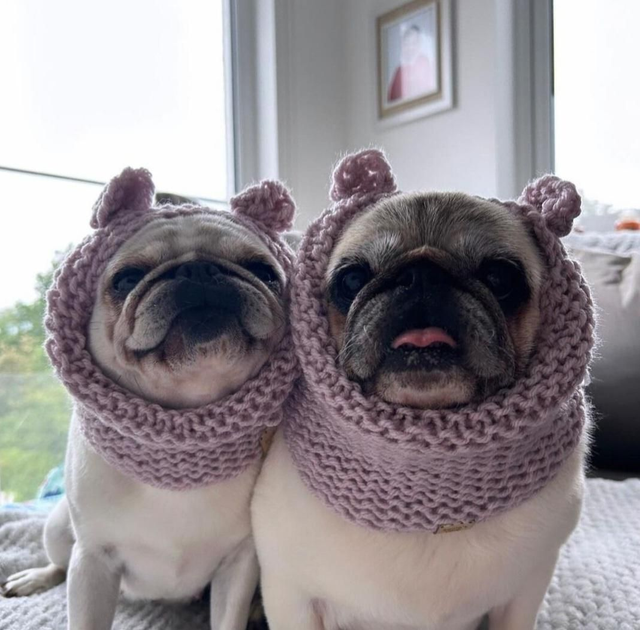 Knitted teddy snood