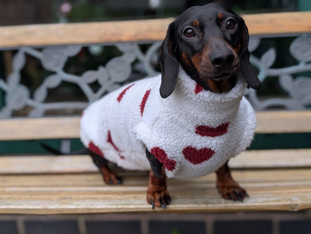 Valentine's Day sherpa fleece