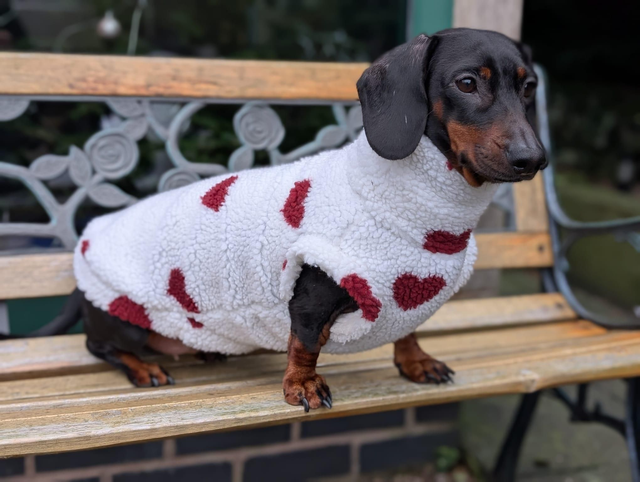 Valentine's Day sherpa fleece