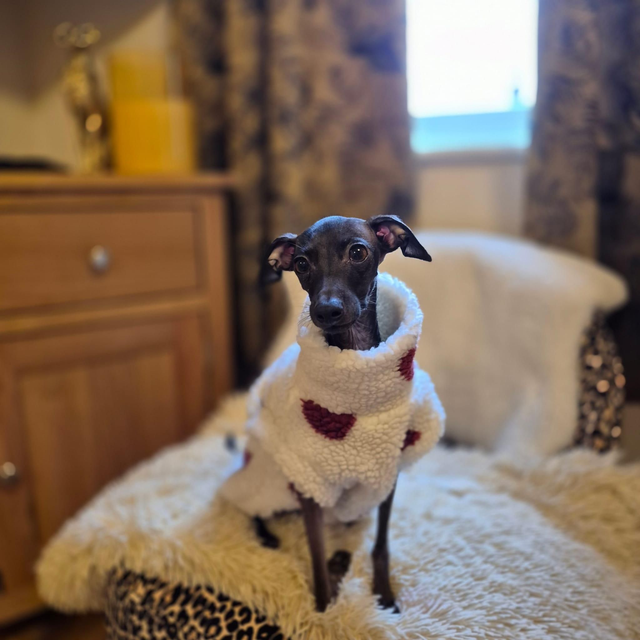 Valentine's Day sherpa fleece