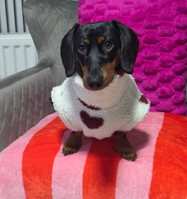 Valentine's Day sherpa fleece