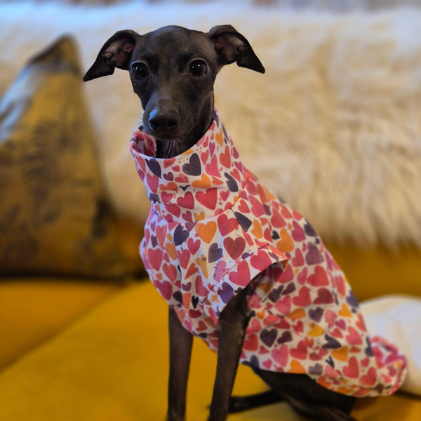 Valentine's Day jersey