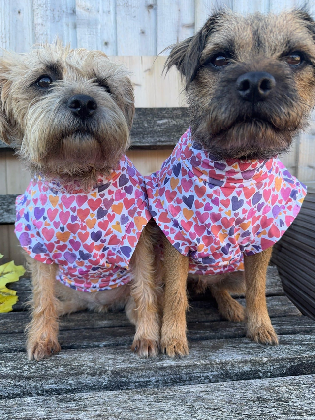 Valentine's Day jersey