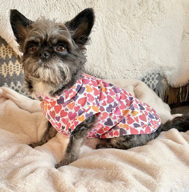 Valentine's Day jersey