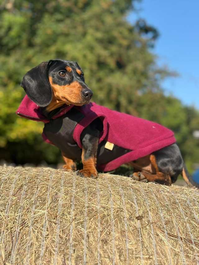 Waterproof belly fleece jumper